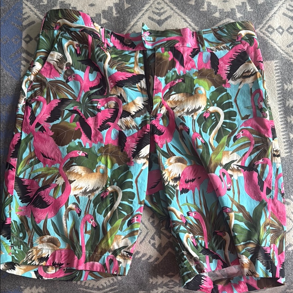 FUN Loudmouth Flamingo shorts 34
